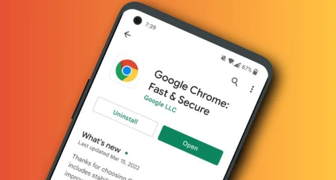 Google浏览器如何提升网页导航速度