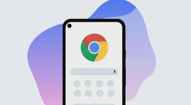 Google Chrome浏览器下载包多版本管理经验