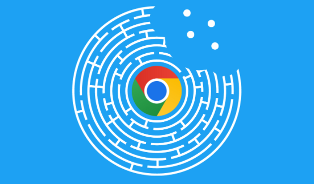 Google Chrome缓存管理与清理技巧
