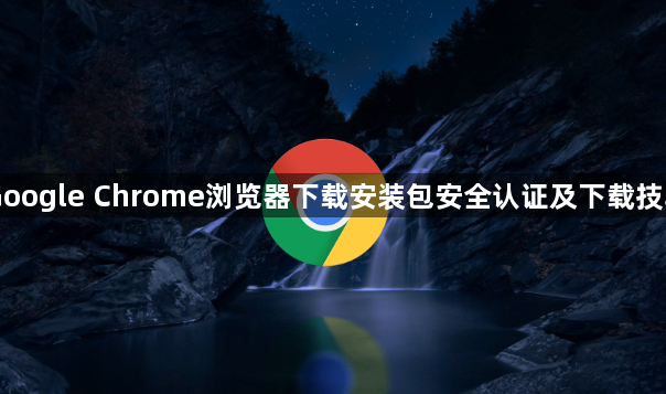 Google Chrome浏览器下载安装包安全认证及下载技巧1