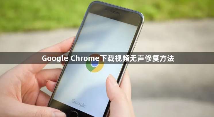 Google Chrome下载视频无声修复方法1