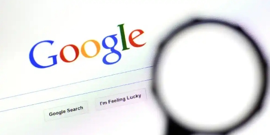 Google Chrome浏览器密码导入导出工具教程1