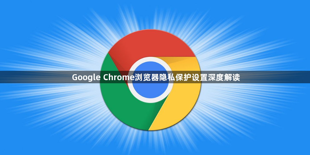 Google Chrome浏览器隐私保护设置深度解读1