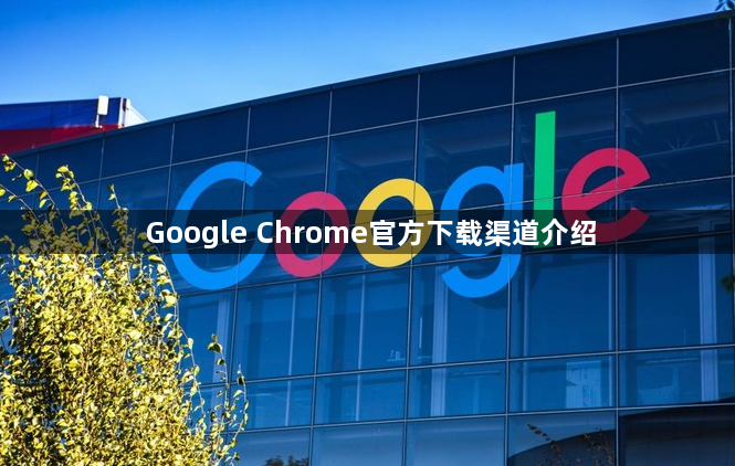 Google Chrome官方下载渠道介绍1