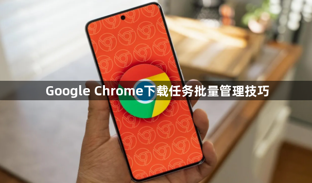 Google Chrome下载任务批量管理技巧1