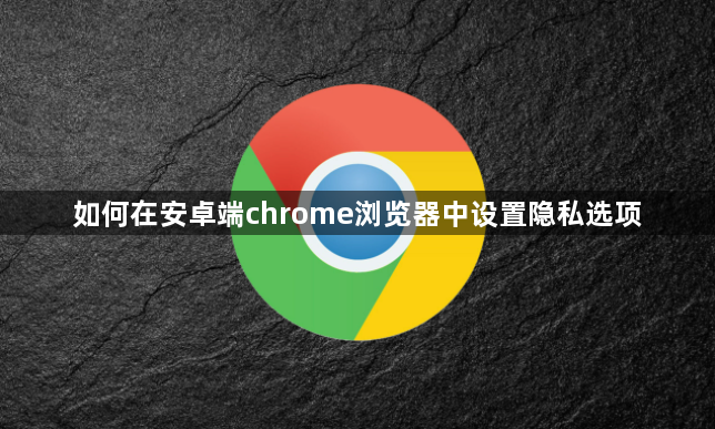 如何在安卓端chrome浏览器中设置隐私选项1