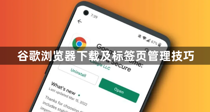 谷歌浏览器下载及标签页管理技巧1