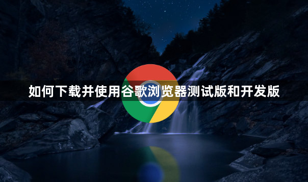 如何下载并使用谷歌浏览器测试版和开发版1