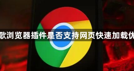 谷歌浏览器插件是否支持网页快速加载优化1