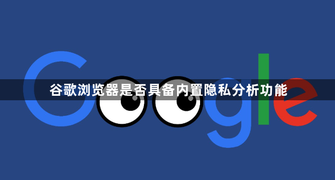 谷歌浏览器是否具备内置隐私分析功能1