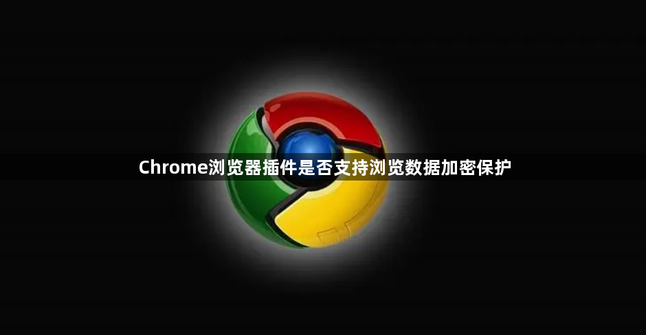 Chrome浏览器插件是否支持浏览数据加密保护1