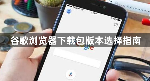 谷歌浏览器下载包版本选择指南1