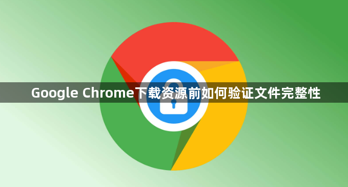 Google Chrome下载资源前如何验证文件完整性1