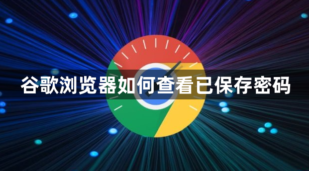 谷歌浏览器如何查看已保存密码1