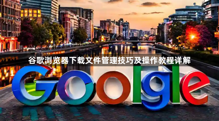 谷歌浏览器下载文件管理技巧及操作教程详解1