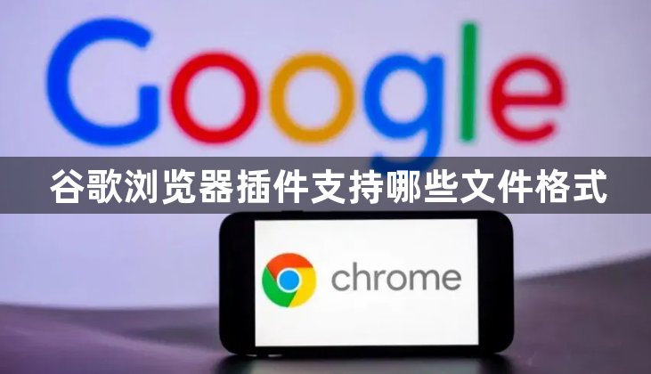 谷歌浏览器插件支持哪些文件格式1