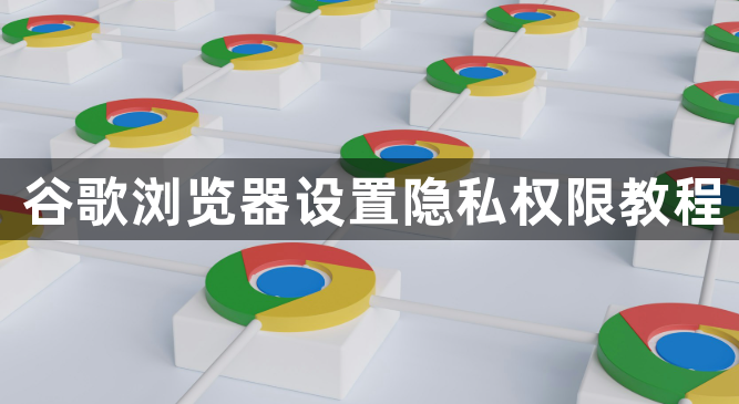 谷歌浏览器设置隐私权限教程1