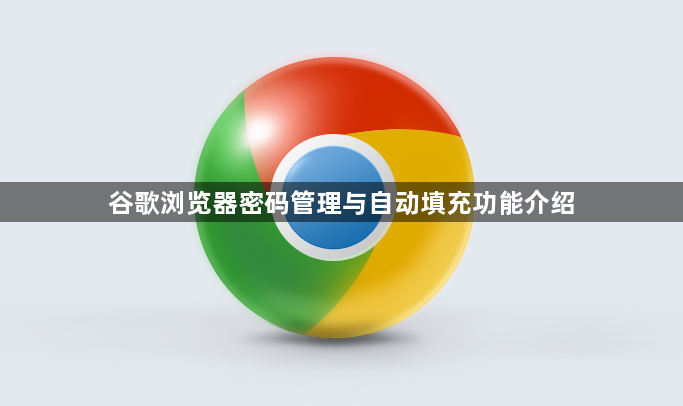 谷歌浏览器密码管理与自动填充功能介绍1