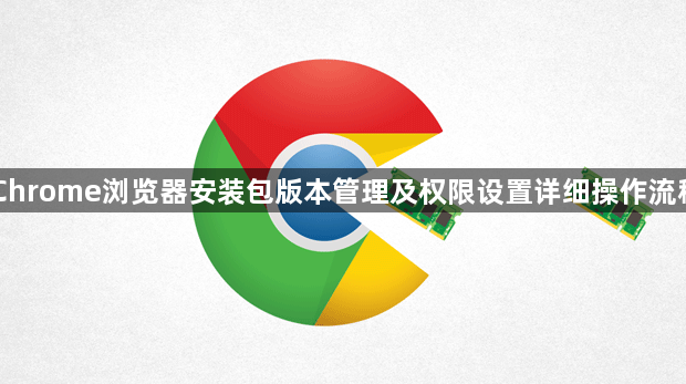 Chrome浏览器安装包版本管理及权限设置详细操作流程1