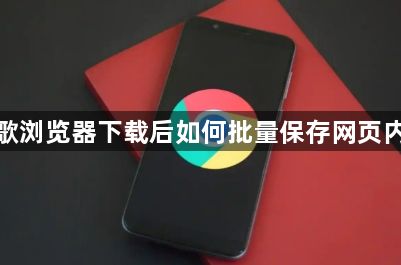 谷歌浏览器下载后如何批量保存网页内容1