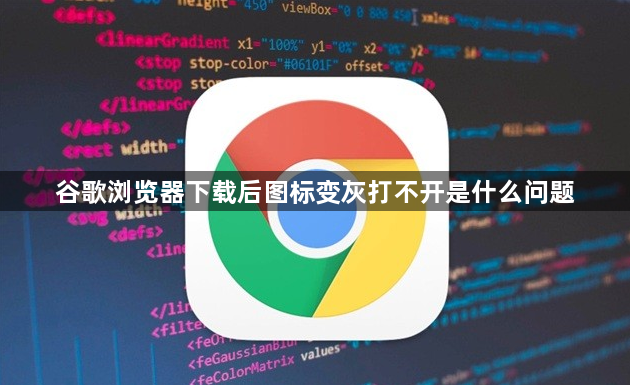 谷歌浏览器下载后图标变灰打不开是什么问题1