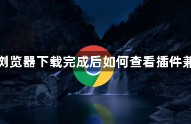谷歌浏览器下载完成后如何查看插件兼容性1