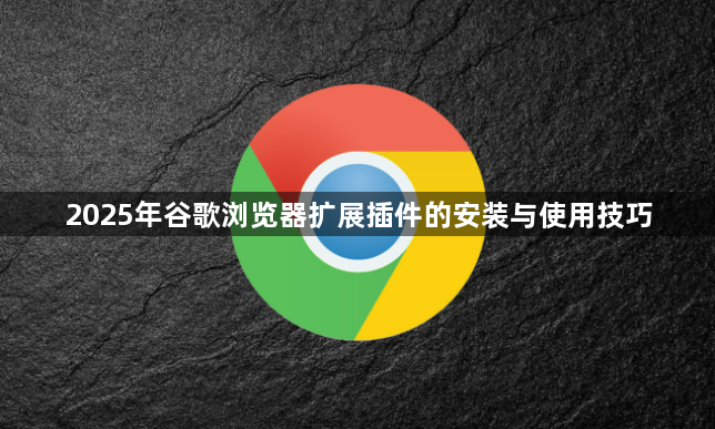 2025年谷歌浏览器扩展插件的安装与使用技巧1