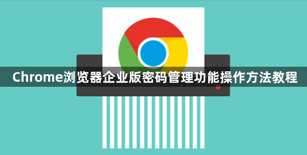 Chrome浏览器企业版密码管理功能操作方法教程1