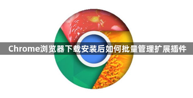 Chrome浏览器下载安装后如何批量管理扩展插件1