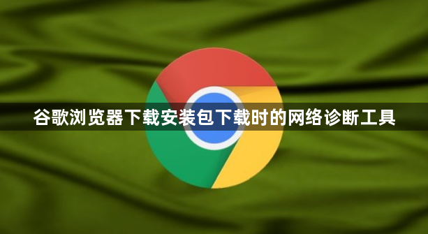 谷歌浏览器下载安装包下载时的网络诊断工具1