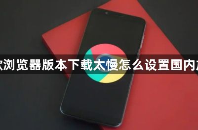 谷歌浏览器版本下载太慢怎么设置国内加速1
