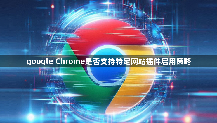 google Chrome是否支持特定网站插件启用策略1