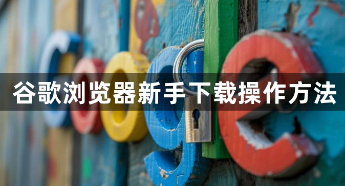 谷歌浏览器新手下载操作方法1