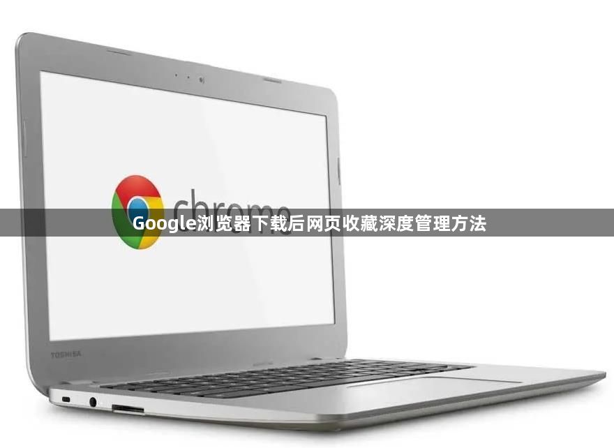 Google浏览器下载后网页收藏深度管理方法1