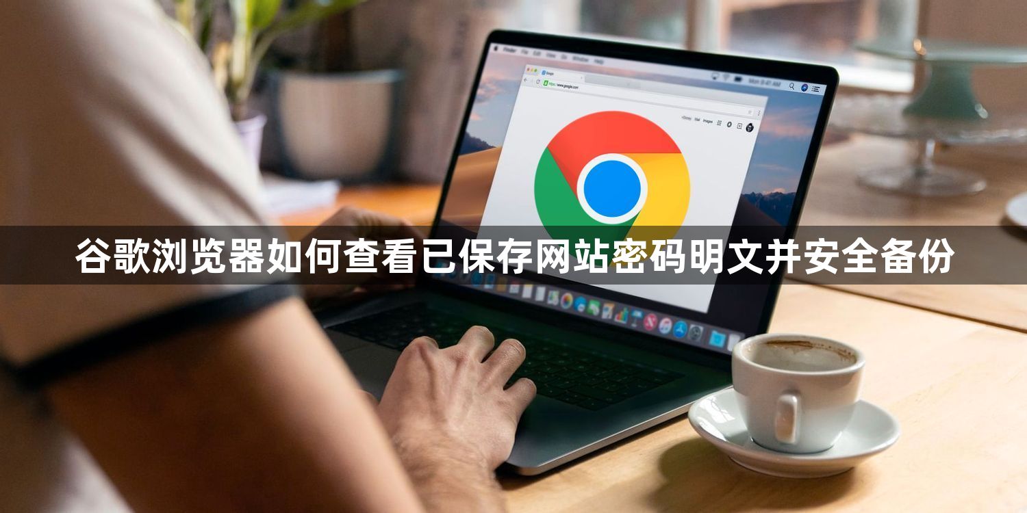 谷歌浏览器如何查看已保存网站密码明文并安全备份1